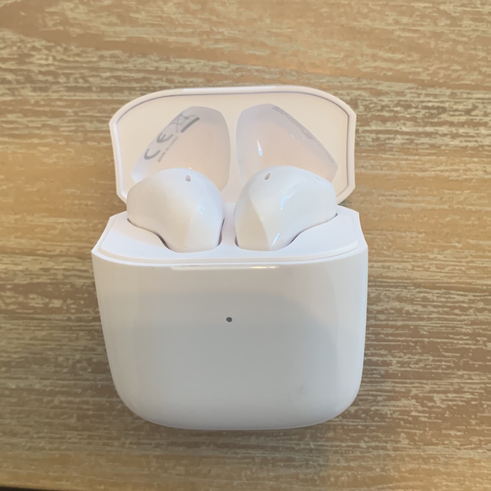 Taotronics wireless earbuds with charging case